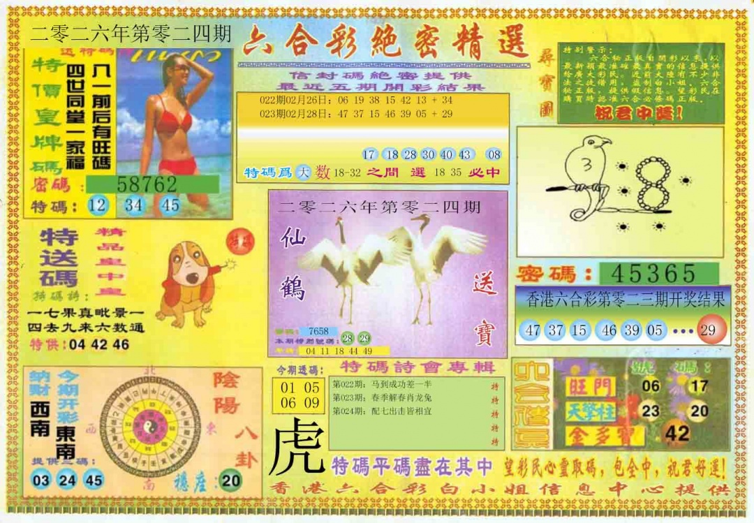 024期绝密精选A[图]